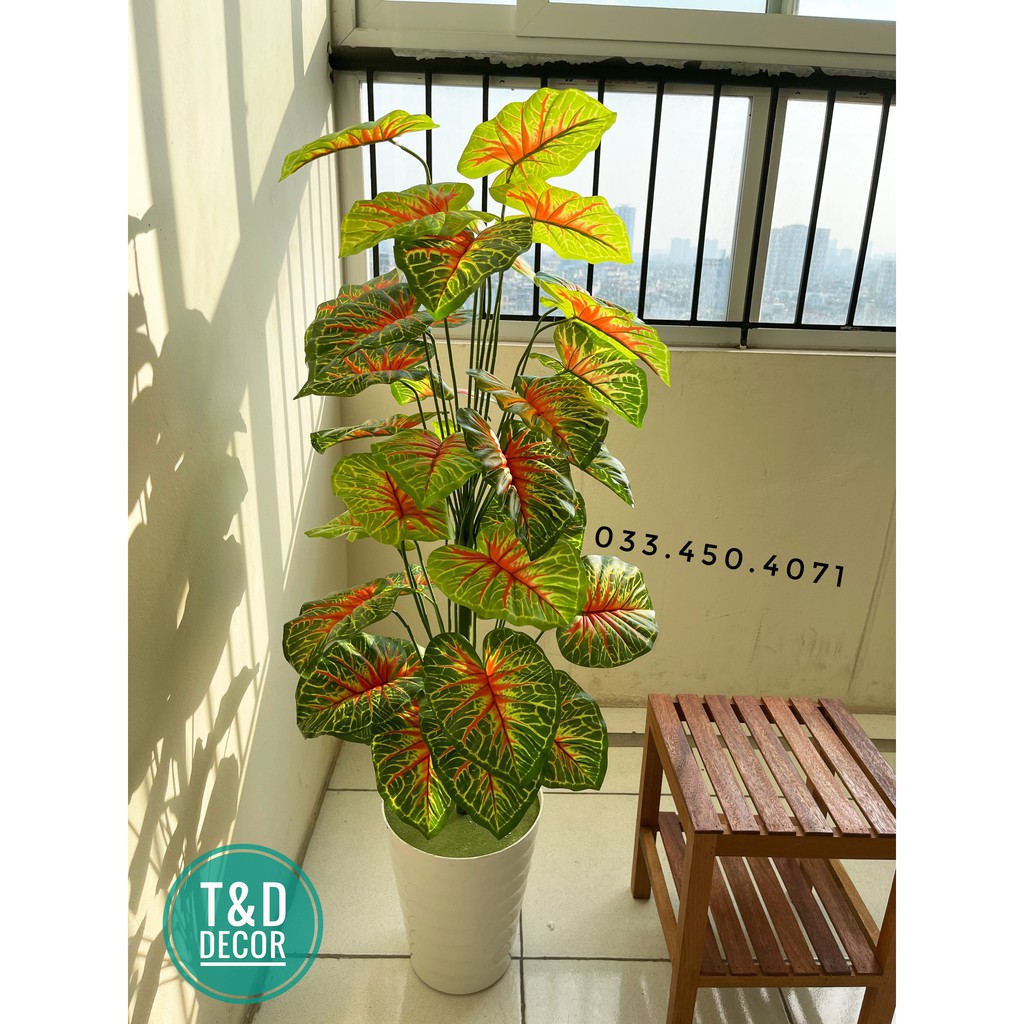 Cây môn đỏ cao 1m2- cây giả decor