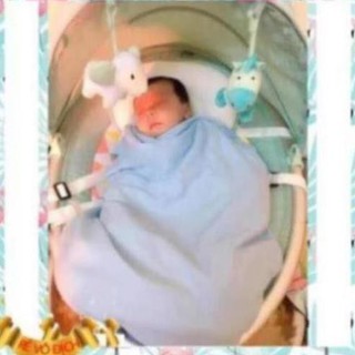 -  Nôi điện tự động cho bé