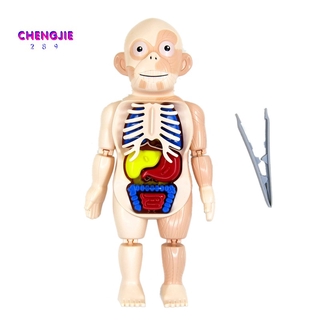 Đồ chơi hóa trang Halloween hình cơ thể người cho trẻ em