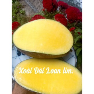 Xoài Đài Loan. 1kg.