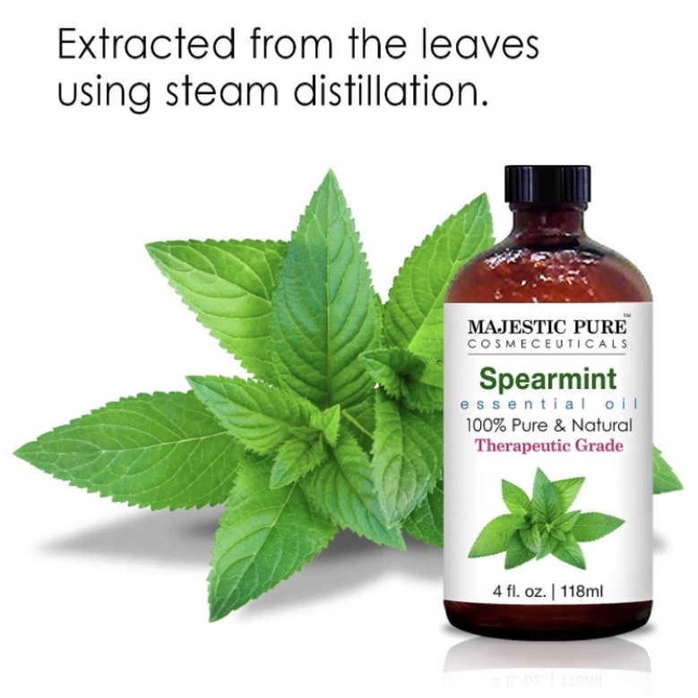 Tinh dầu bạc hà Á 100% nguyên chất Majestic Pure Spearmint Essential Oil 118ml USA