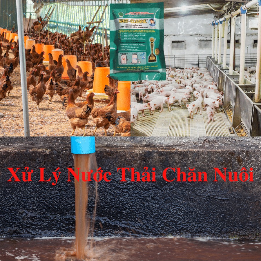 Chế phẩm vi sinh xử lý nước Bể Cá lọc Nước Phèn Ăn Uống & Sinh Hoạt Bể Bơi nuôi Tôm Cá Chăn Nuôi Wat-Cleane