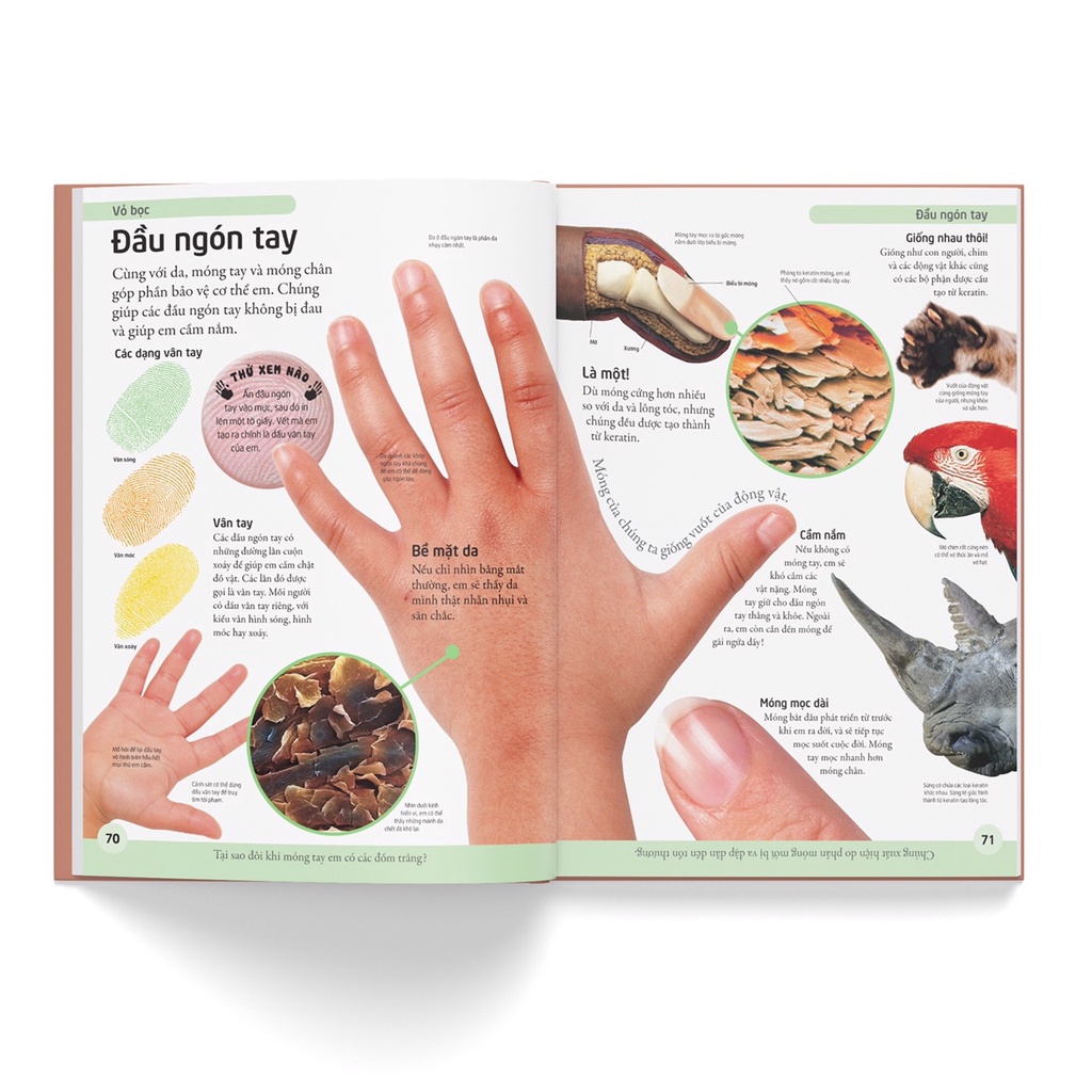 Sách- Bách khoa cho trẻ em – Bách khoa cơ thể người (Tái bản)