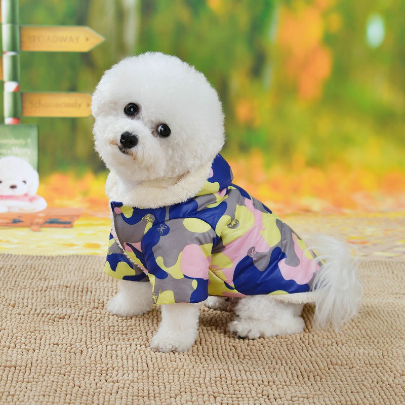 Quần áo cho chó con thu đông mèo Bichon Chihuahua và mèo, đệm bông cộng với vải nhung dày nhỏ