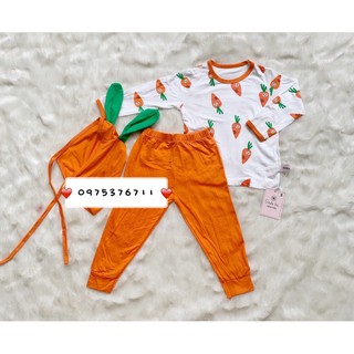 set bộ trái cây cho bé