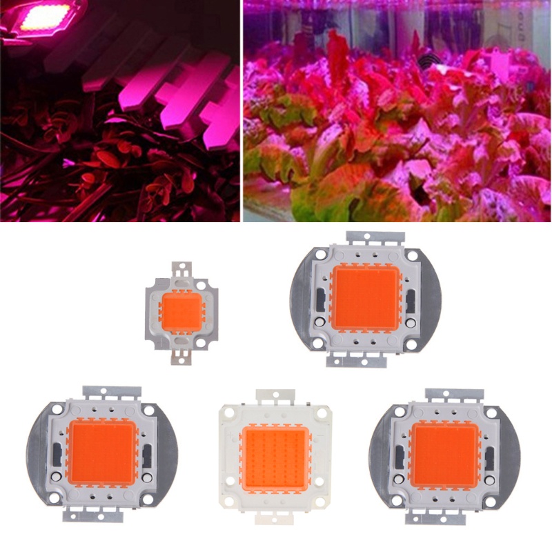 Khuyến mãi 100w 50w 30w 20w 10w 380nm-840nm chip led công suất cao quang phổ đầy đủ phát triển ánh sáng