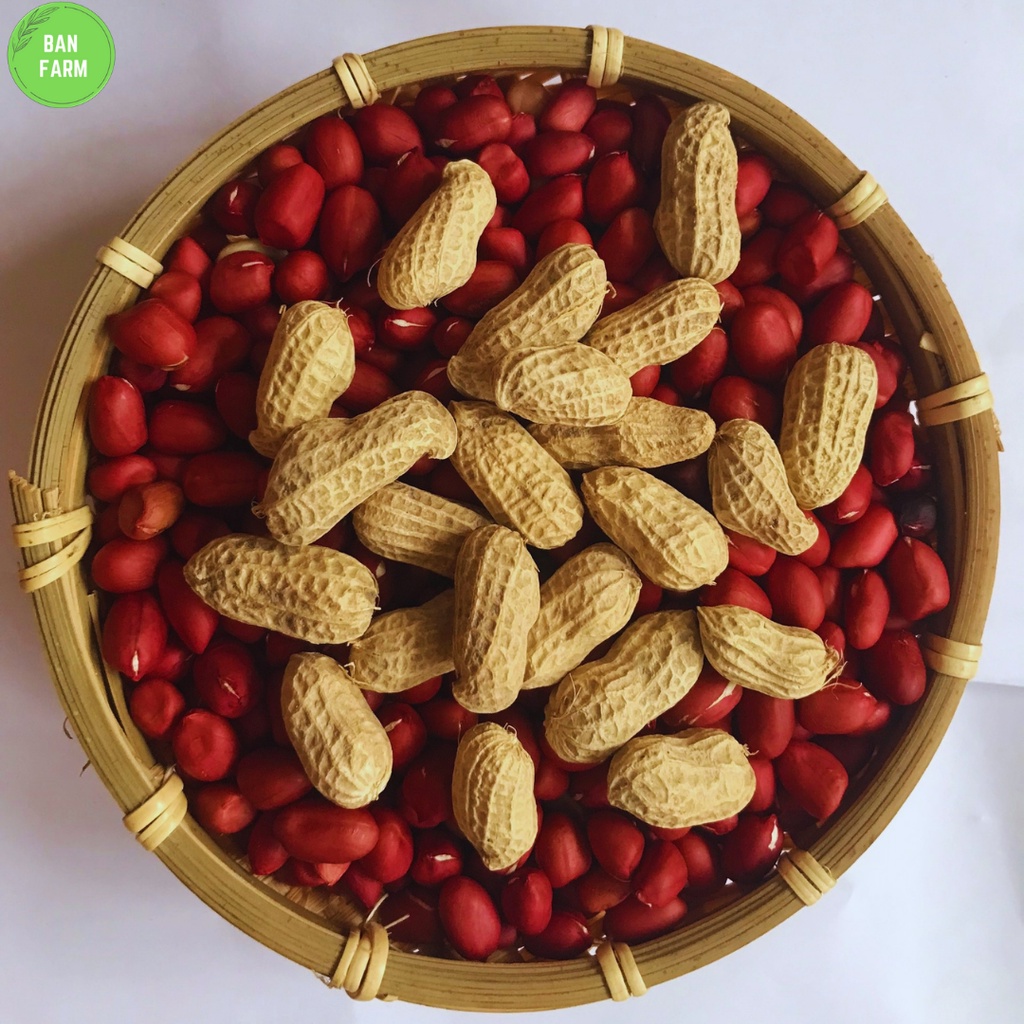Đậu phộng đỏ  Banfarm đặc sản - thơm bùi béo 500g