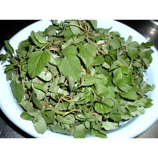 Gói 10gr hạt giống rau dền cơm
