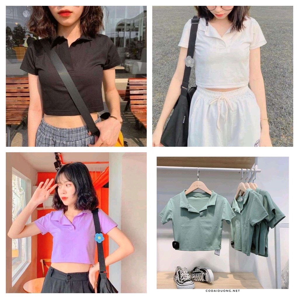 áo thun polo croptop cổ trụ