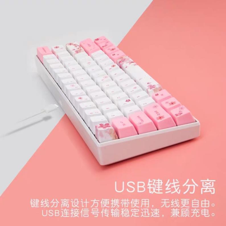 Set Keycap PBT Doubleshot Cao Cấp Dùng Cho Bàn Phím 60% (61 Phím)