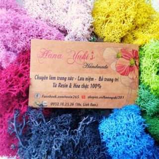 Reindeer Moss – rêu tuần lộc đủ màu đẹp mê dùng sáng tạo trong Resin , thiệp, decor, tranh 3D, diy…v.v..