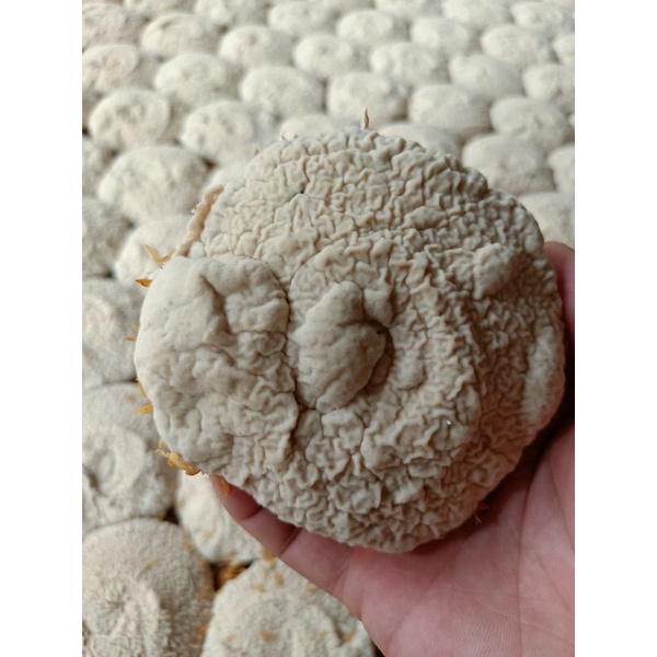 Men thuốc bắc gia truyền gói 800g