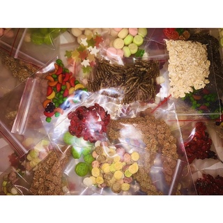 Gói Ăn Thử Các Món Ăn Dặm Cho Hamster