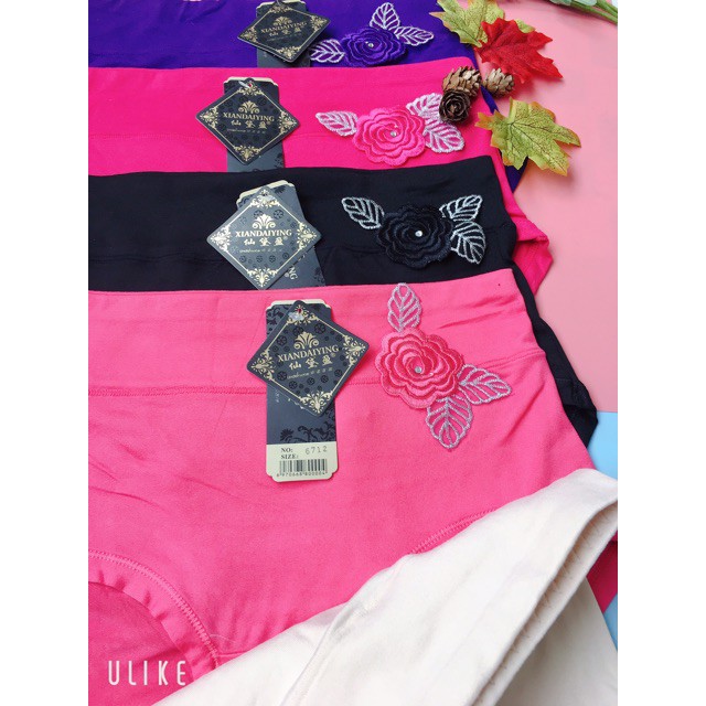 ComBo 5 Quần Lót Nữ Cạp Cao / Chất Co Giãn Mềm Mại / Fom To Bóp Eo | BigBuy360 - bigbuy360.vn