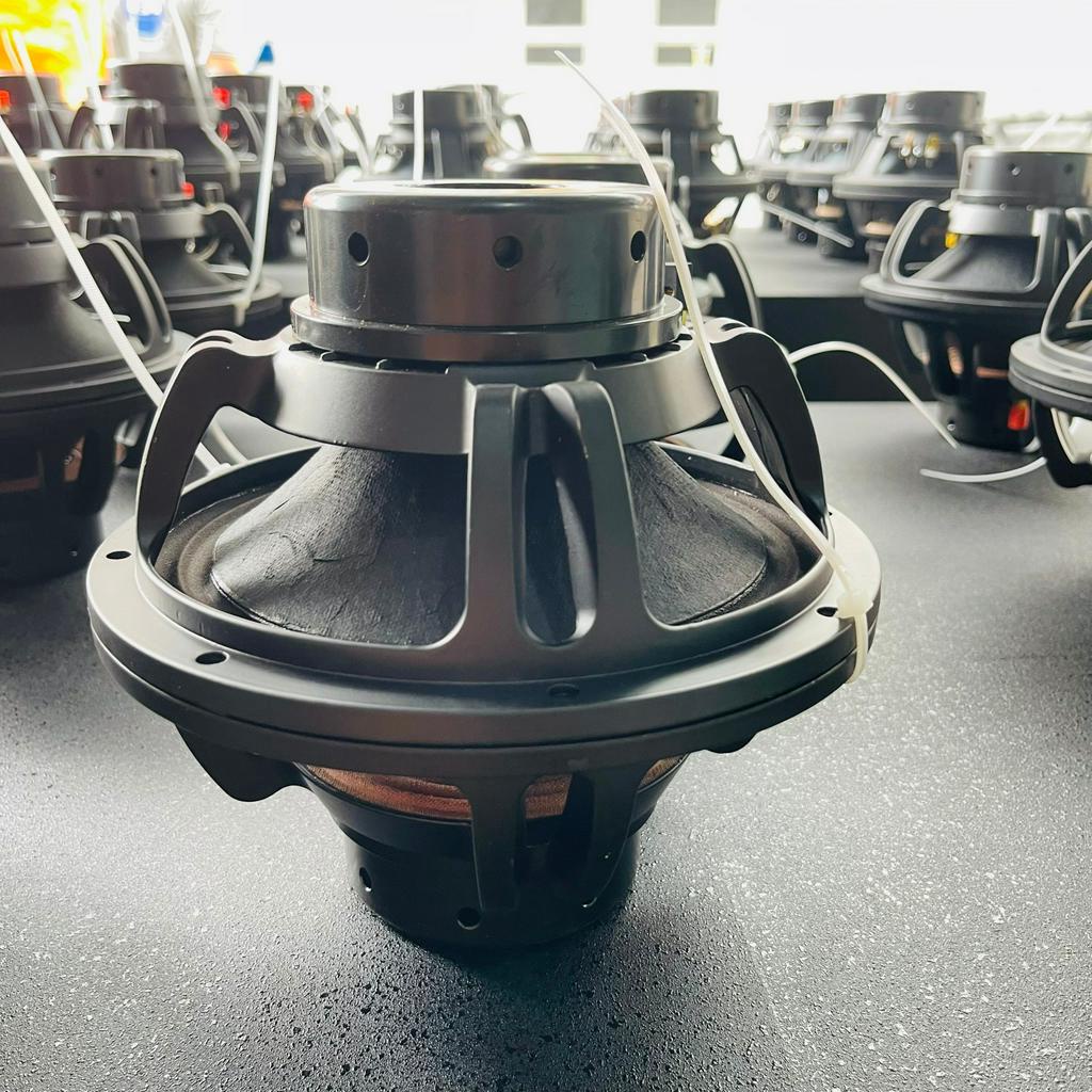 CẶP LOA BASS 16 COIL 65 VÀ BASS 20 COIL 65 TỪ NEO HÀNG LOẠI 1 TỪ TÍNH VÀ ĐỘ NHẠY CAO , TIẾNG CỰC SÁNG