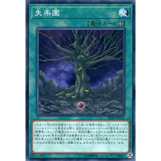 Lá bài thẻ bài Yugioh SD38-JP021 - Fallen Paradise
