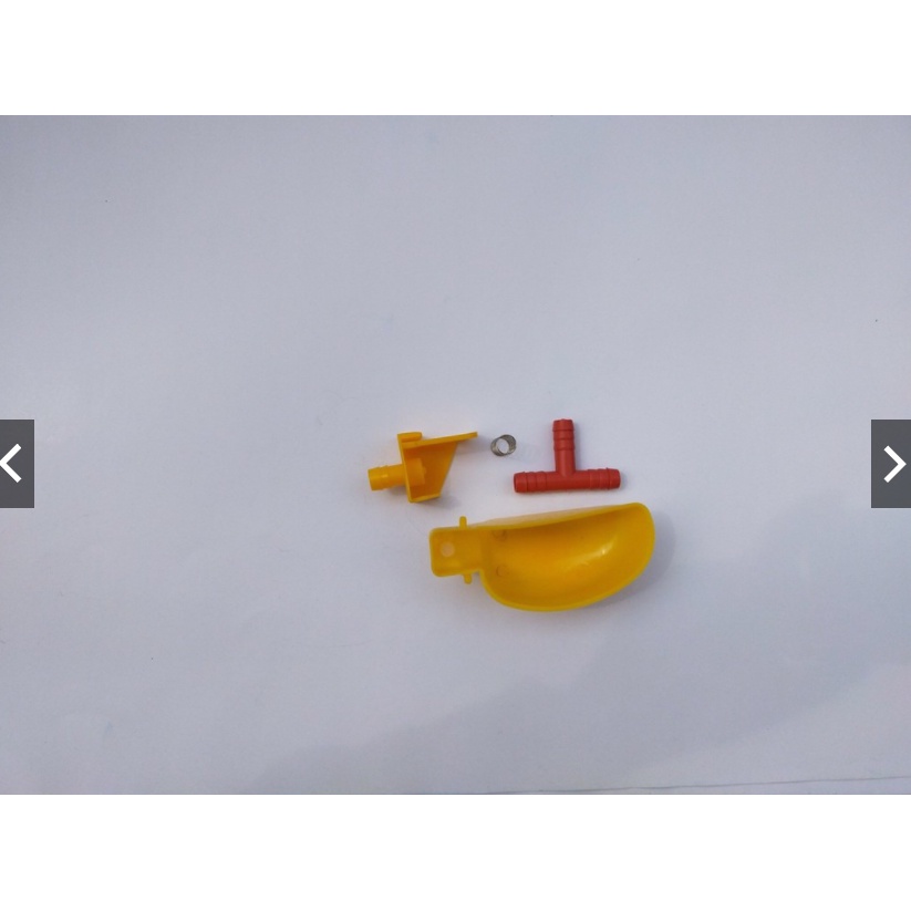 Máng uống nước tự động cho bồ câu, chim cút