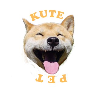 Chăm Sóc Thú Cưng - Kutepet