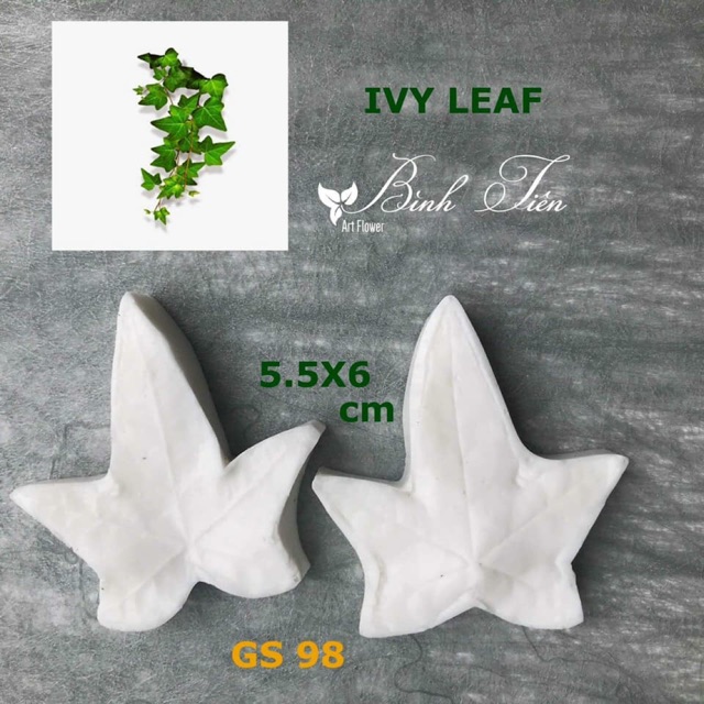 Gân silicon lá Ivy