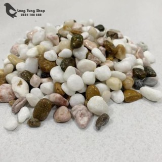 Đá sỏi hỗn hợp ( chọn size )