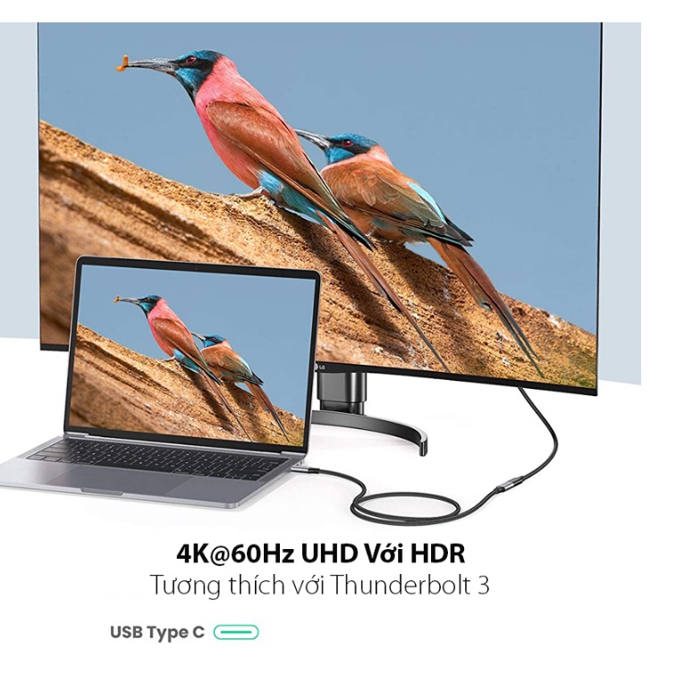 Cáp nối dài USB Type C 3.1 Gen 2 dài 1m Ugreen 30205