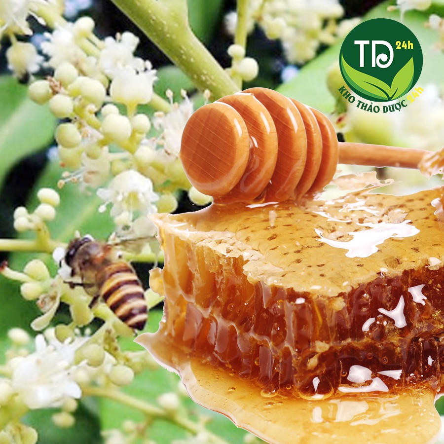 Mật ong rừng hoa nhãn nguyên chất 100%, đặc sản nổi tiếng của tỉnh miền núi Tây Bắc (Sơn La) I Kho Thảo Dược 24h