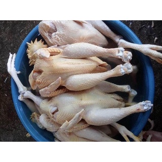 Gà ta làm sẵn