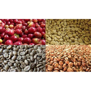 500G CÀ PHÊ ROBUSTA RANG MỘC - IN TIME COFFEE
