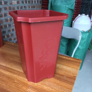 Chậu vuông đứng đào trúc