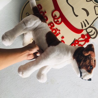 Gấu bông chó giống thật