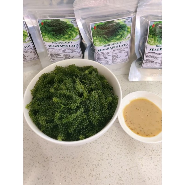 Rong nho tách nước 100gr ngâm nở 300gr rong tươi