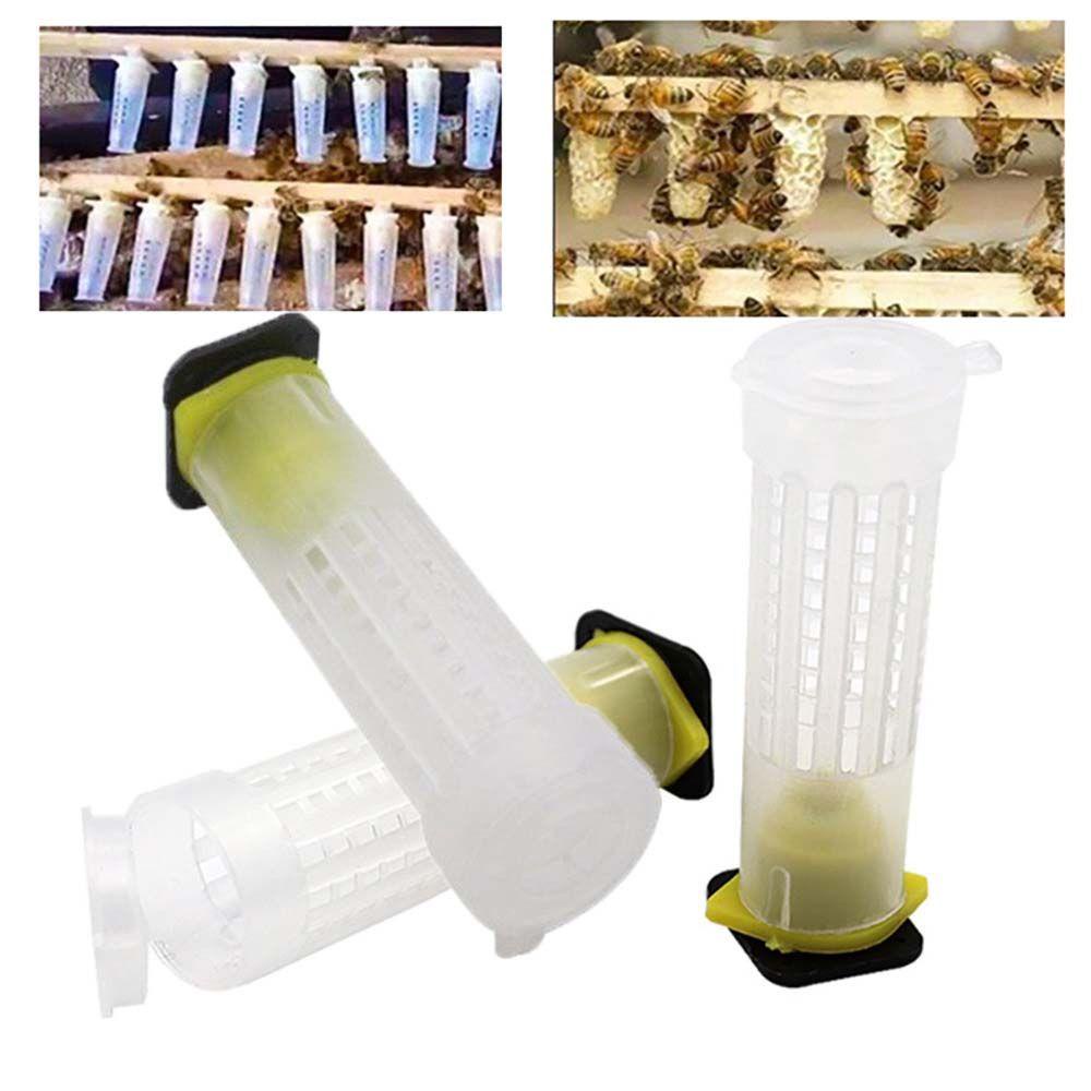 Bộ Dụng Cụ Bảo Vệ Nuôi Ong Chuyên Dụng