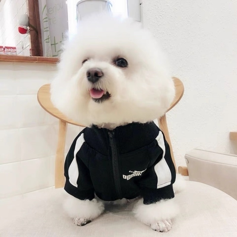 Áo nỉ kéo khoá cực ngầu cho cún miu