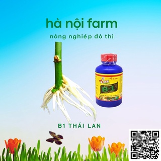 B1 thái xanh 100ml, phân bón lá nhập khẩu thailand