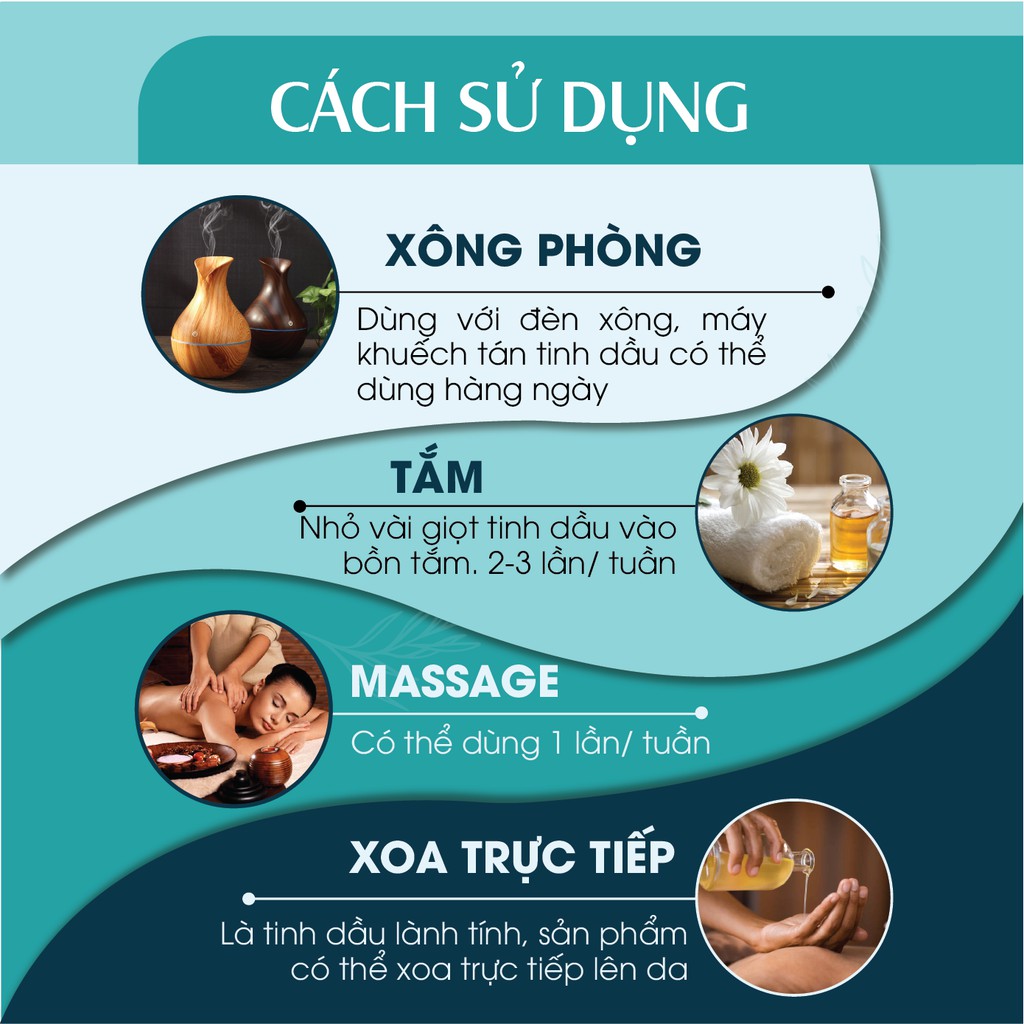 Combo 2 chai Tinh dầu Java &amp; Tinh dầu Bạc Hà 24Care (10ml/chai)