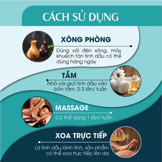 Combo 2 chai Tinh dầu Java & Tinh dầu Bạc Hà 24Care (10ml/chai)
