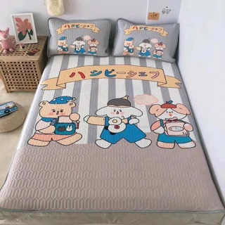 CHIẾU ĐIỀU HOÀ CAO SU NON