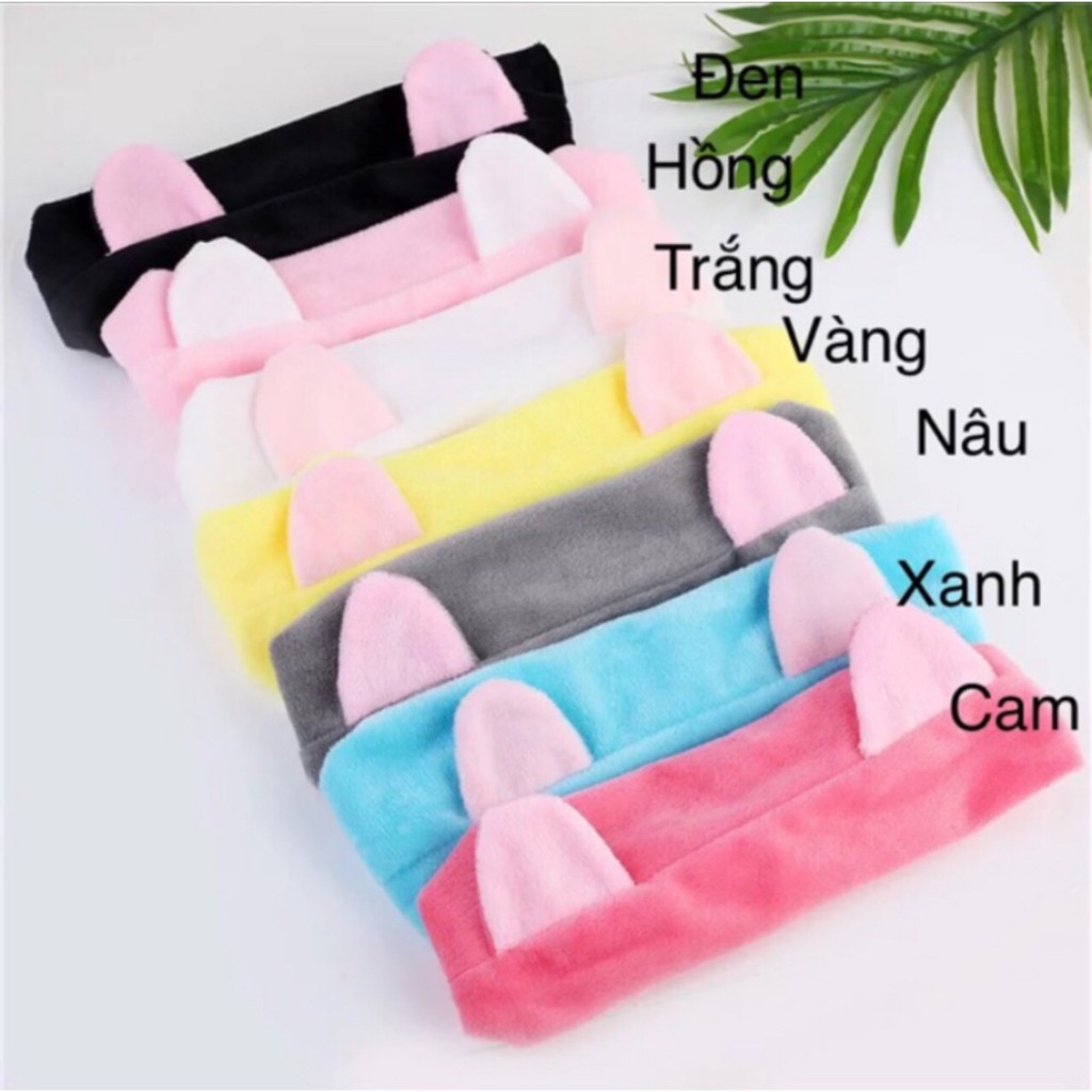 combo cho khach 1300