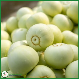 Hạt giống Dưa lê F1 - Cát Tường TN 420