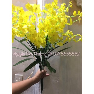 Hoa lan vũ nữ 3 nhánh giả trang trí