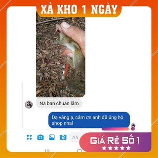 NÁ SONG LONG CAO CẤP