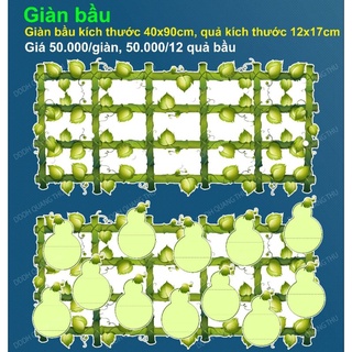 Giàn bầu