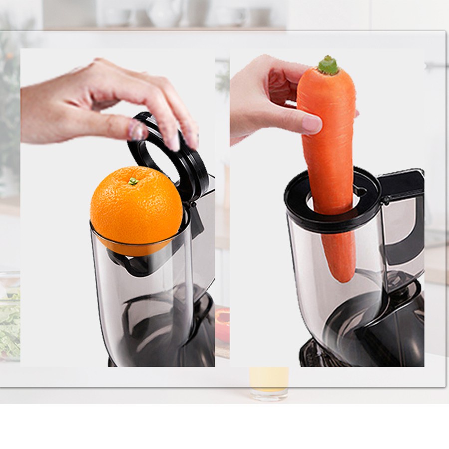Máy Ép Chậm GESUN G500 Vắt Kiệt Tới 98% - Máy Ép Hoa Quả, Trái Cây Nhập Khẩu Chính Hãng Đức
