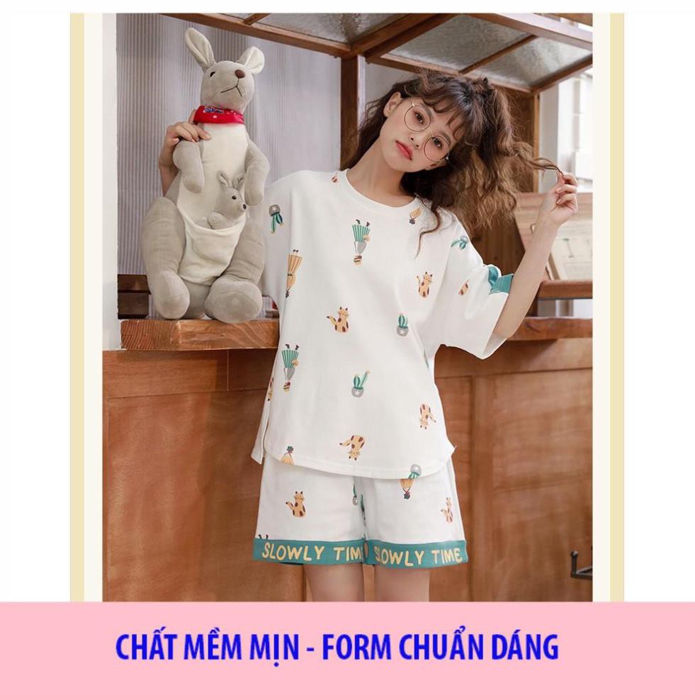 [ SIÊU MỊN - LOẠI I] Đồ Ngủ Nữ - Đồ bộ Cotton Mặc Nhà Họa Tiết Hoa Sang Trọng, Mẫu Đồ Ngủ Mùa Hè Hàng Bán Chạy Hè B1003