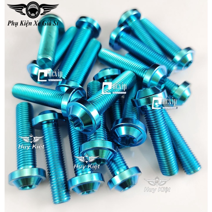 Ốc Titan GR5 10Li23 Gắn Pat Heo Dầu Trước Dòng Xe Yamaha MS5043