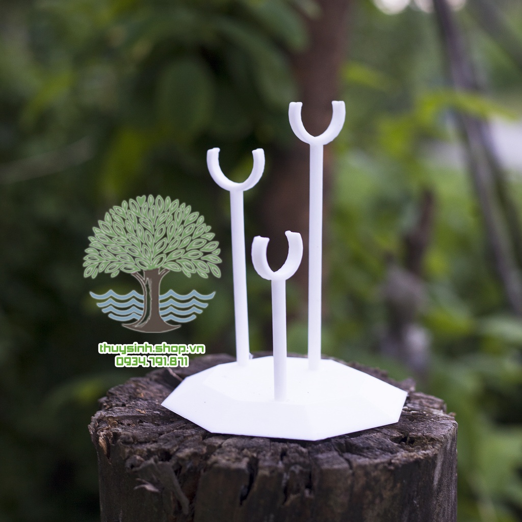 Đế trưng bày rồng in 3d nhiều màu phối cứng cáp độc đáo