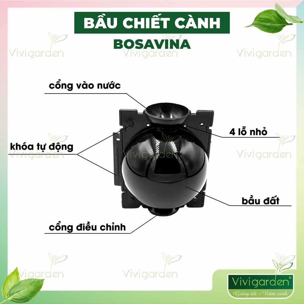 1 Bầu nhựa hộp chiết cành bosavina hỗ trợ chiết cành tạo rễ cực tốt bền hơn 4 năm