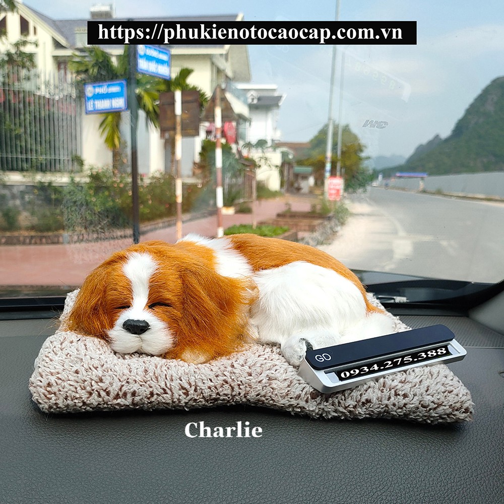 THÚ CƯNG HÚT ẨM VÀ KHỬ MÙI CHO Ô TÔ.Tiện ích không thể thiếu cho xế cưng.