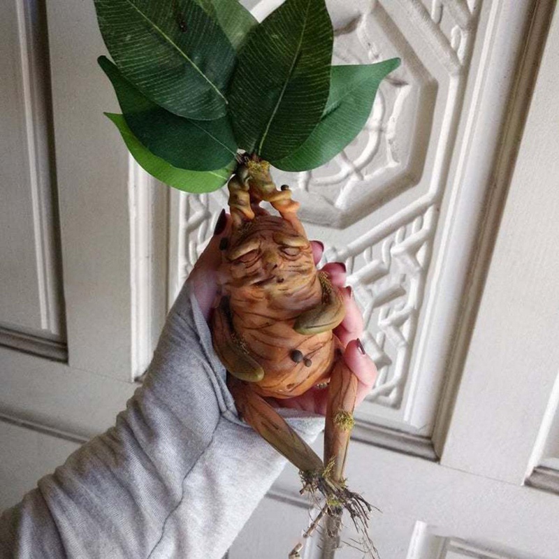 Đồ trang trí Tượng Mandrake Dùng Trang Trí Tiểu Cảnh