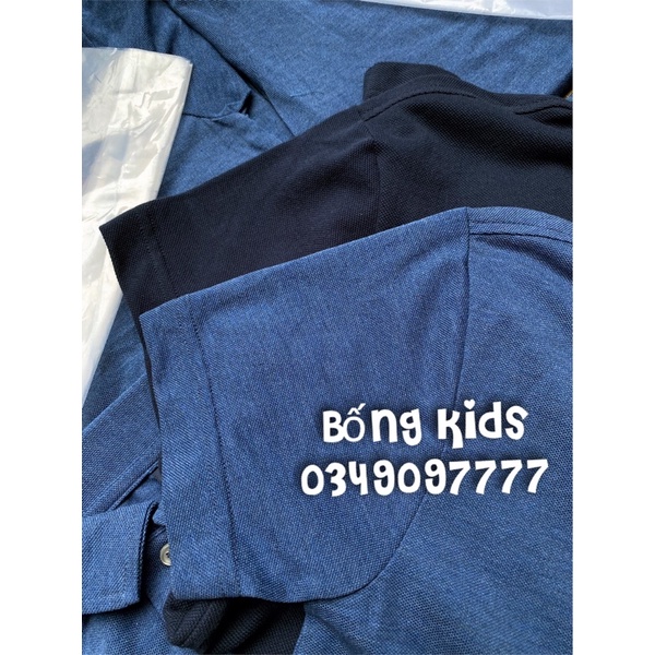 Áo Polo Nam Da Cá Mỏng PL